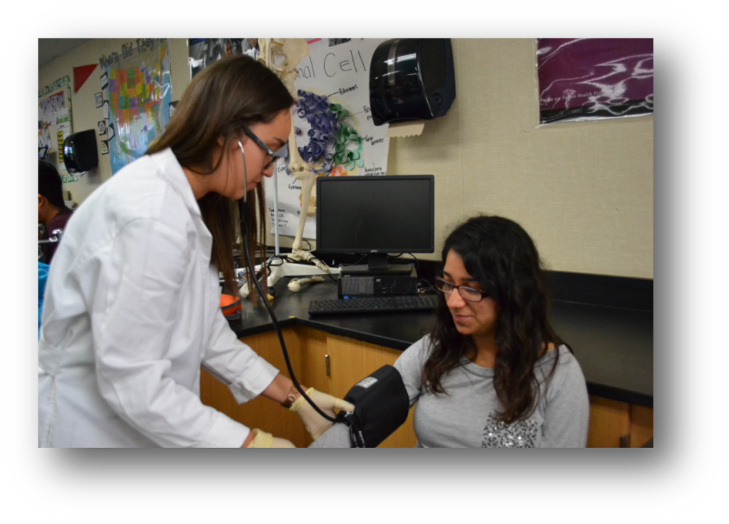 Courses Pacifica High School Health Science Academy Courses Pacifica High School Health Science Academy